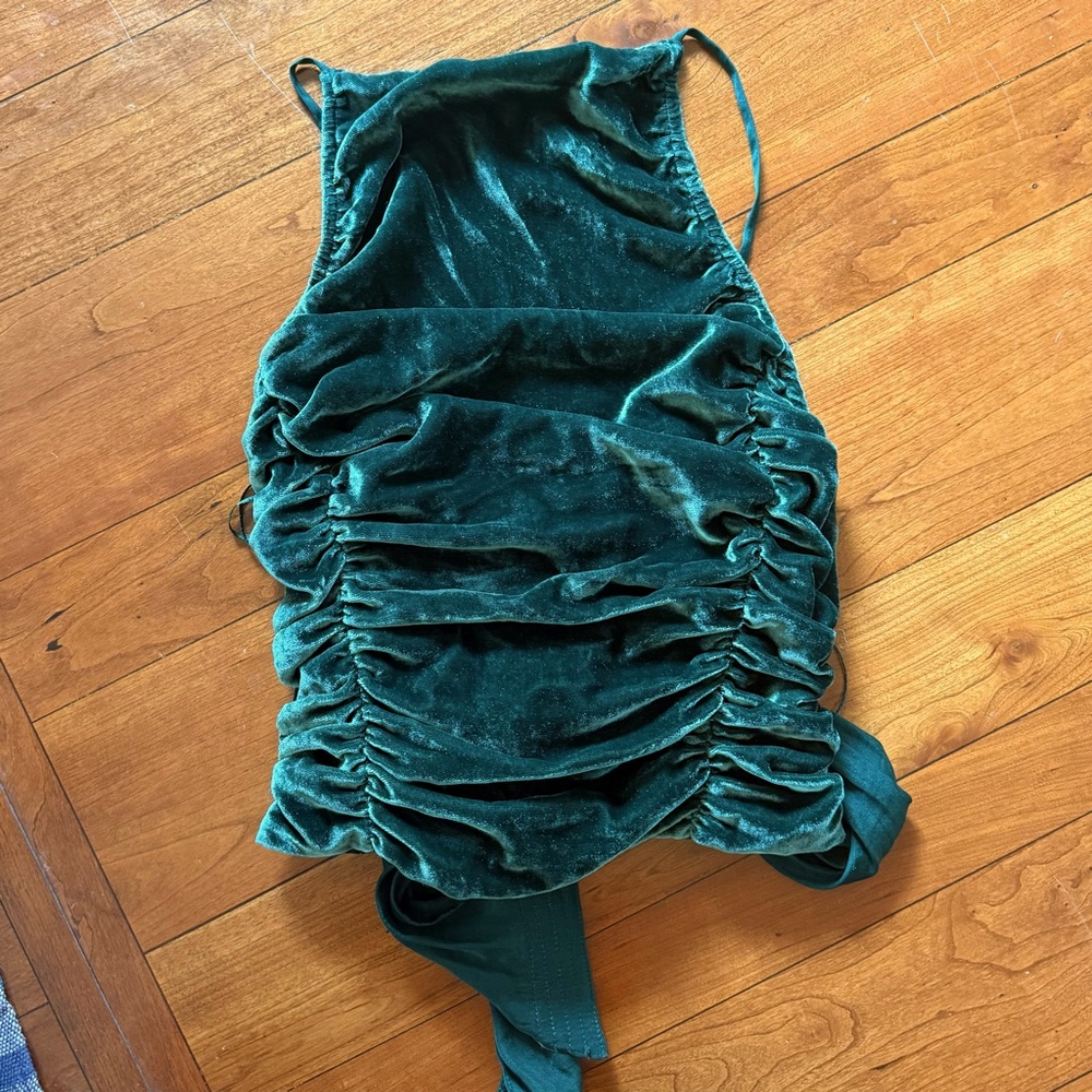 Free People Rare High Neck Velvet Top
